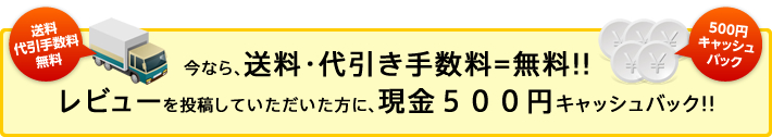 ���r���[